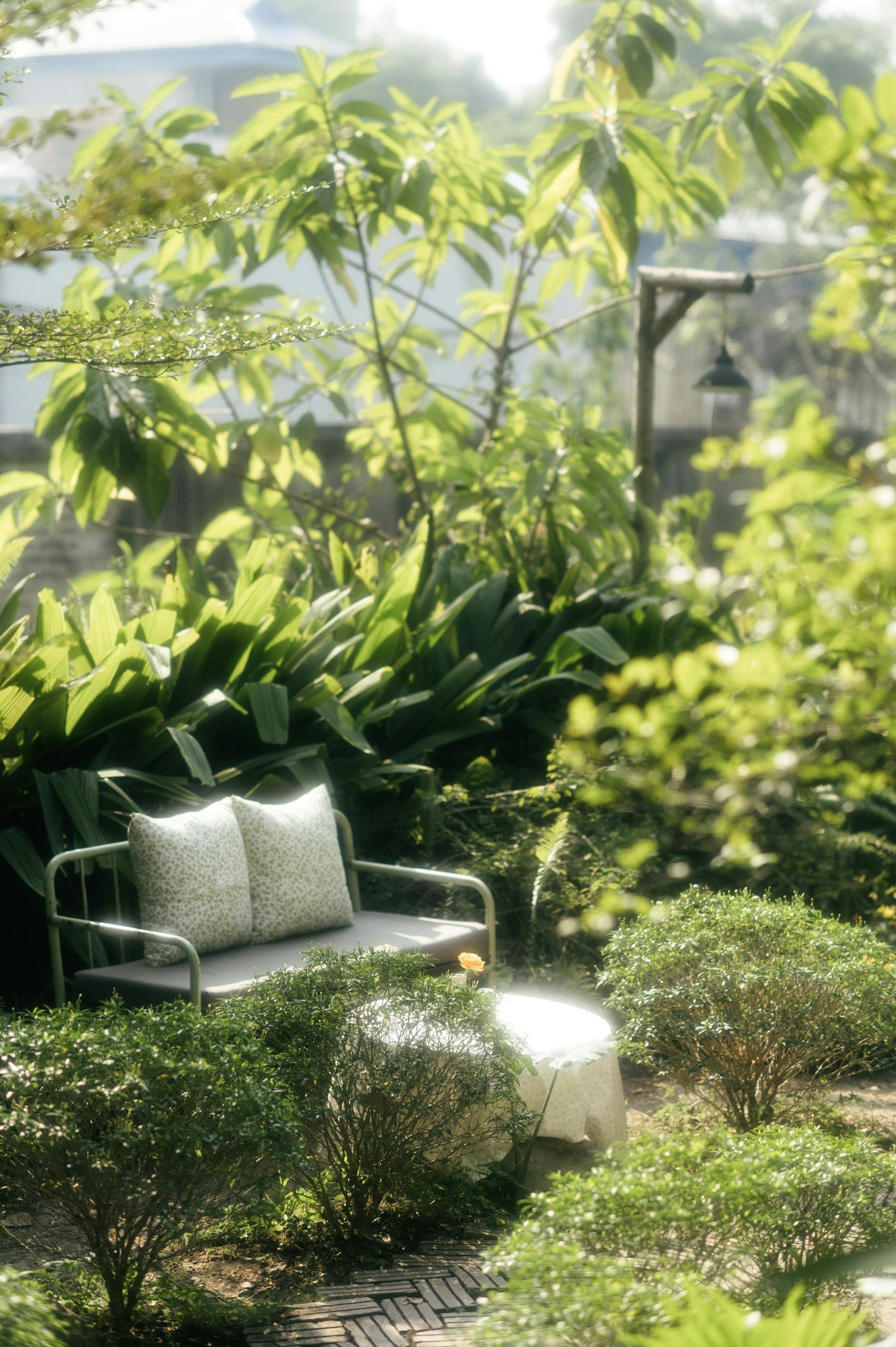 Peaceful outdoor seating area in a lush tropical garden in Lạng Sơn, perfect for relaxation.